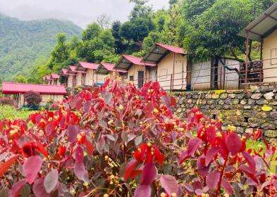 ganga-view-camp-in-rishikesh